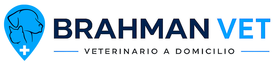 Brahman Vet, veterinario a domicilio